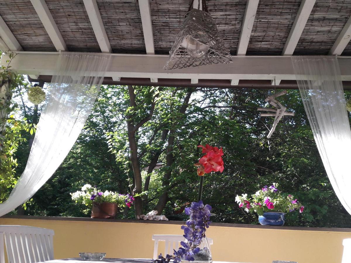 Stella Del Mar Bed and Breakfast Μπολόνια Εξωτερικό φωτογραφία