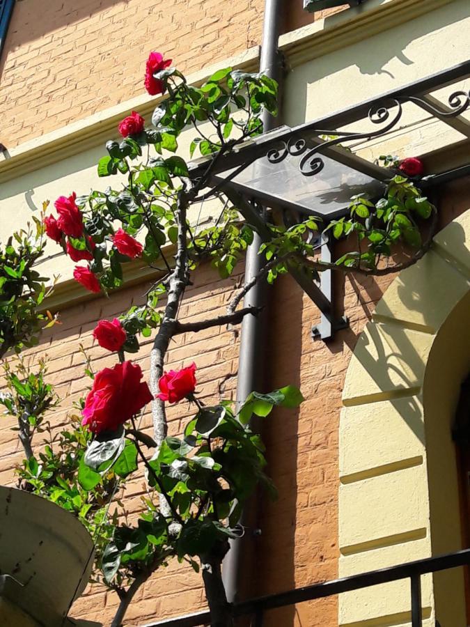 Stella Del Mar Bed and Breakfast Μπολόνια Εξωτερικό φωτογραφία