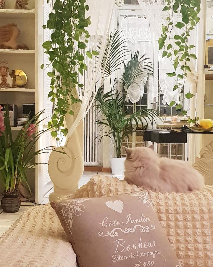 Stella Del Mar Bed and Breakfast Μπολόνια Εξωτερικό φωτογραφία