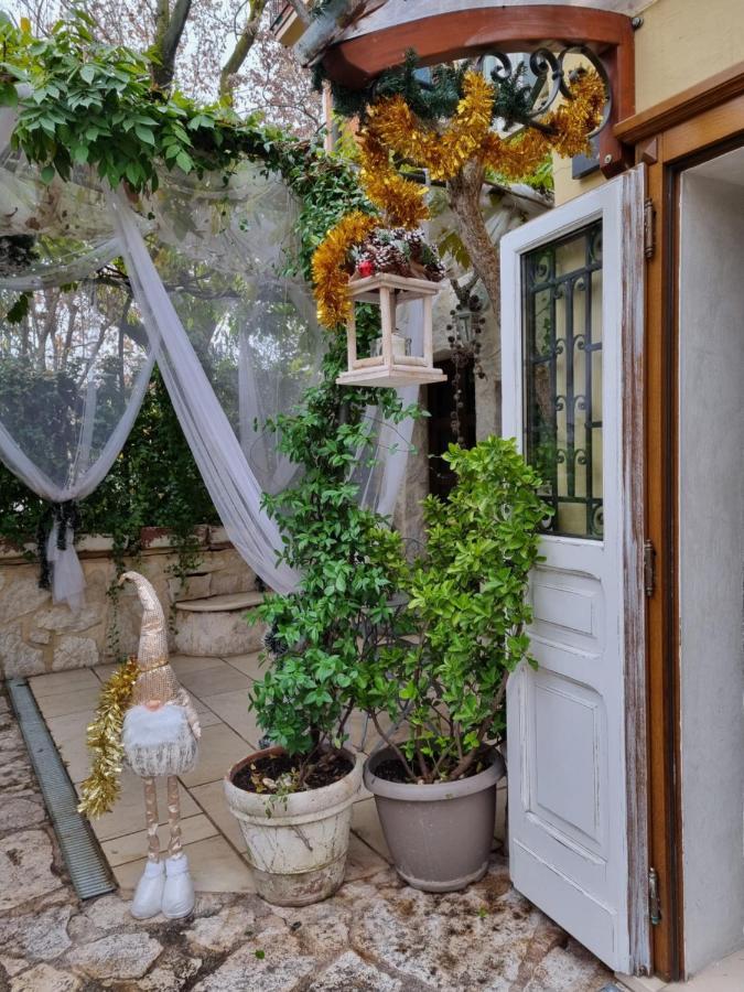 Stella Del Mar Bed and Breakfast Μπολόνια Εξωτερικό φωτογραφία